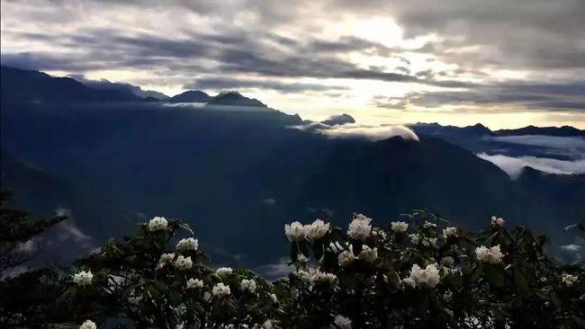 爱旅行的芭比